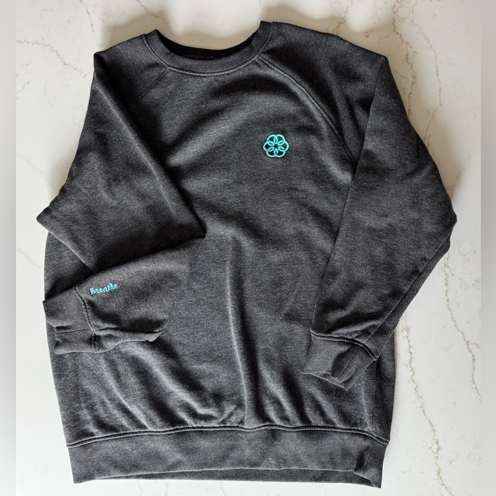 RARE Apple Employee Meditation sweatshirt